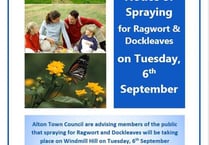 Council defends ragwort spraying