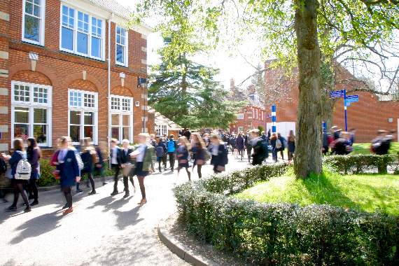 Government gives £5.5m for improvements at two Alresford schools