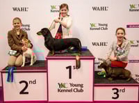 Tegan makes Crufts podium