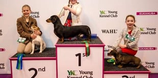 Tegan makes Crufts podium