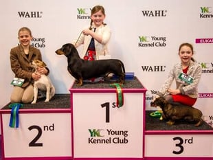 Tegan makes Crufts podium