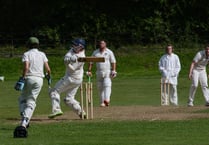Grayswood poised for title as Witley surprise Frensham