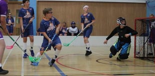 Farnham Fireballs outshine the Hawks