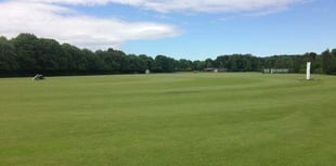 Raise a glass to the chance for more people to play cricket