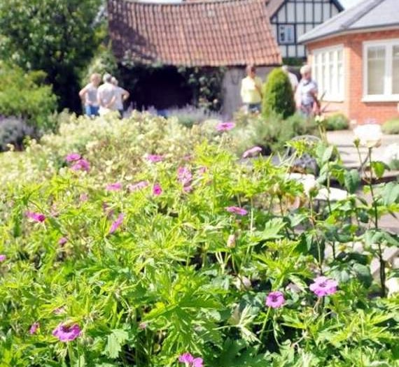 Record turnout as gardens blossom