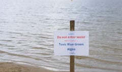 Toxic algae closes Frensham Great Pond