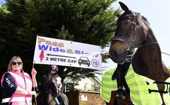 Delight at horse safety awareness drive