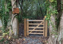 Sustainable projects cash dished out