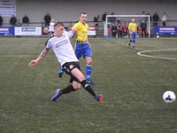 Football club would like Alton to get a 3G sports pitch in Anstey Park