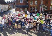 Hundreds attend Alton climate protest
