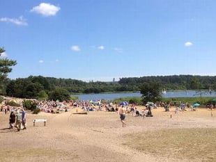 'Irresponsible' visitors blamed for increased parking fees at Frensham
