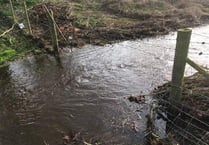 Storm Dennis increases flooding risk in River Wey valley