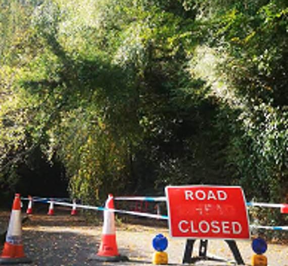 Nine days to axe dangerous trees