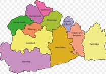 Councils pitched in bitter fight for survival