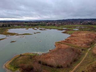 Wynde of Change: Tices Meadow open day isn't just for twitchers