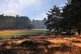 Hankley golfers drive up hospice finances