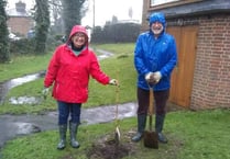 Generous donation of memorial tree means vandals don’t get the last word