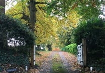 Cllr Carole Cockburn: Negligence, not No10, to blame for plan delays