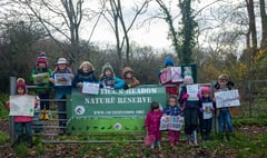 Six councils pool cash to save Tice’s Meadow from housing