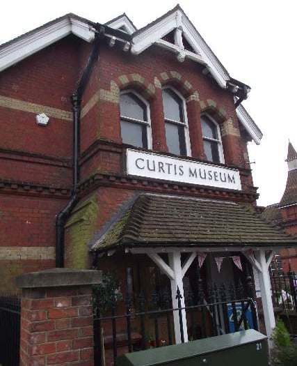 Volunteer at Curtis Museum and Allen Gallery
