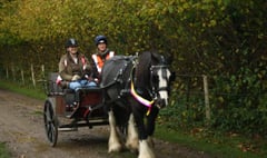 Rotary grant gives chance for carriage driving fun