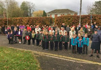 Children play their part in Remembrance