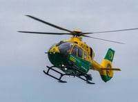 Eastleigh man, 26, dies five days after A31 crash near Alton
