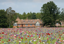 Frensham mansion is Surrey’s most viewed on Rightmove