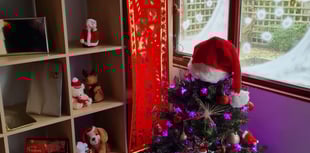 Farnham's Bells Piece to host first Christmas fayre since the pandemic