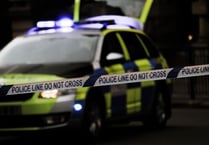 Police seek to add £10 to Hampshire’s council tax