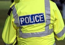 Driver dies in crash on A483 near Newtown