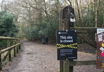 Alice Holt Forest closed to visitors because of high winds