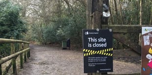 Alice Holt Forest closed to visitors because of high winds