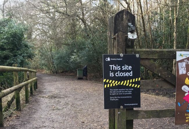 Alice Holt Forest was closed because of Storm Eunice on Friday
