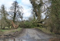 Surrey and Hampshire surveys the damage left behind by Storm Eunice