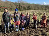 Children get digging to create a hedge at Blacknest Fields