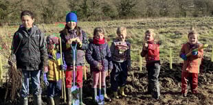 Children get digging to create a hedge at Blacknest Fields