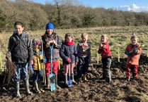 Children get digging to create a hedge at Blacknest Fields