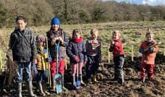 Children get digging to create a hedge at Blacknest Fields