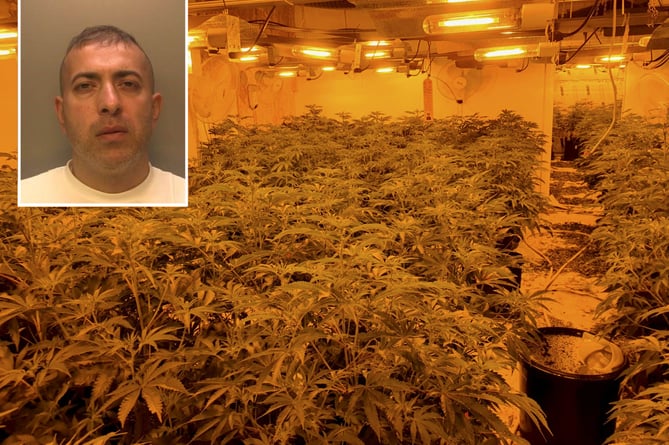 Cannabis factory in Aldershot. See SWNS story SWNNcannabis.  A serious organised crime leader, who earned millions by running 12 cannabis factories across the South, has been jailed today. Mustafa Oustha, 39 of Harewood Drive, Northolt, appeared at Guildford Crown Court today (3 March), where he was sentenced to six years eight months in prison after pleading guilty to conspiracy to produce cannabis and concealing criminal property. Prior to the sentence, the Judge commented that it was âdifficult to envisage a more serious case of production of cannabis.â The sentence follows a large-scale investigation into the rental of 12 industrial units across the South East of England which had been turned into cannabis factories between 2016 and 2021