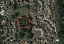 House builder bids to chop down ‘only vestige of greenery’ in Medstead