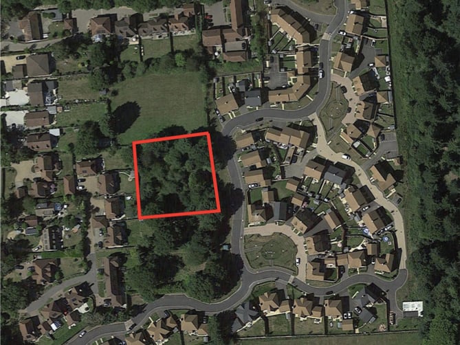 The site in Watercress Way, Medstead, has been described as ‘only vestige of greenery left’ in the area