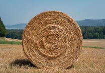 Hay bale fire in Langrish near Petersfield was arson, say police