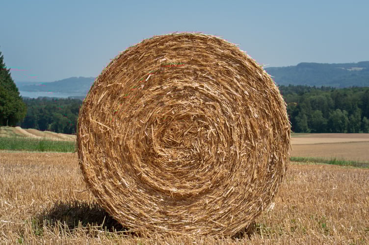 Two large hay bales were set alight in a field in Langrish near Petersfield at around 5pm on Wednesday, 20 April near to Manor Farm.