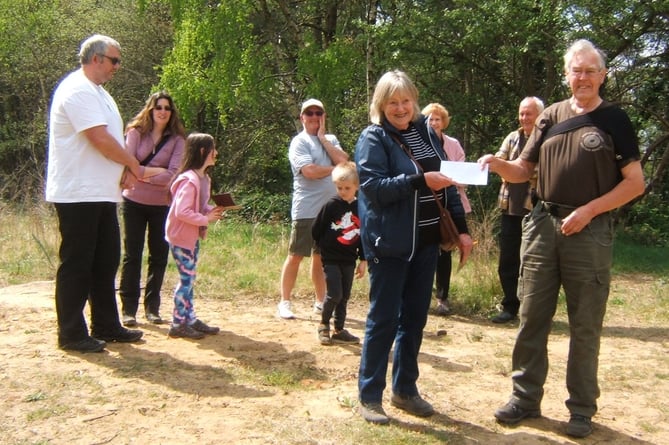 REME Trail walk in Hogmoor Inclosure