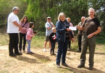 Walk and quiz on REME Trail in Bordon’s Hogmoor Inclosure
