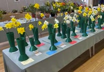 Daffodils abound at Ropley Horticultural Society spring show