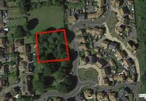 Plans for four houses on former gardens in Medstead are rejected