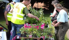 Alton Local Food Initiative holds seedling swap
