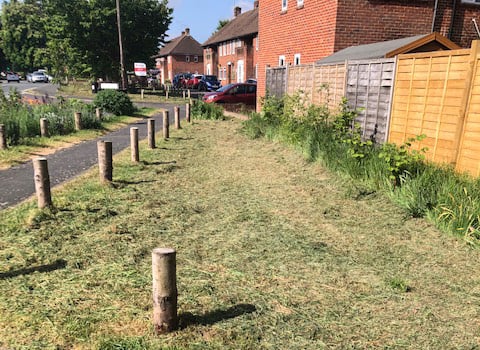 The Butts wildflower meadow in Alton after it was mown on May 13th 2022.